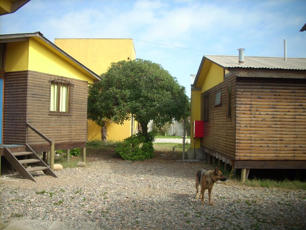 Cabanas Caleta San Pedro 라세레나 외부 사진